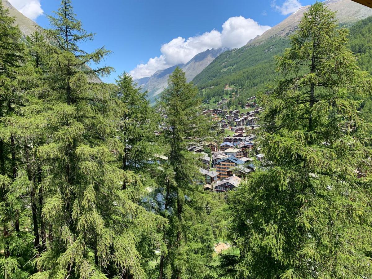 Appartements Zermatt Paradies Esterno foto
