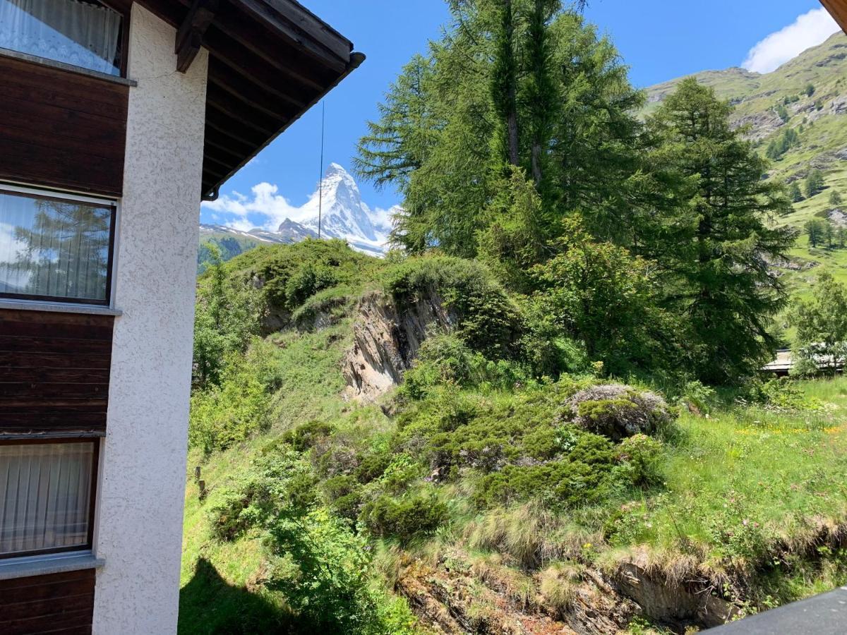 Appartements Zermatt Paradies Esterno foto