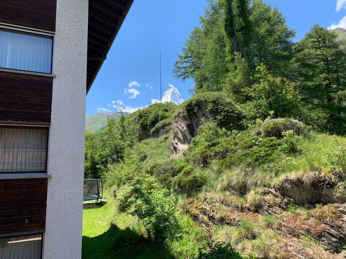 Appartements Zermatt Paradies Esterno foto